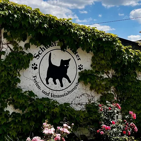 Schwarzer Kater * Grossschoenau