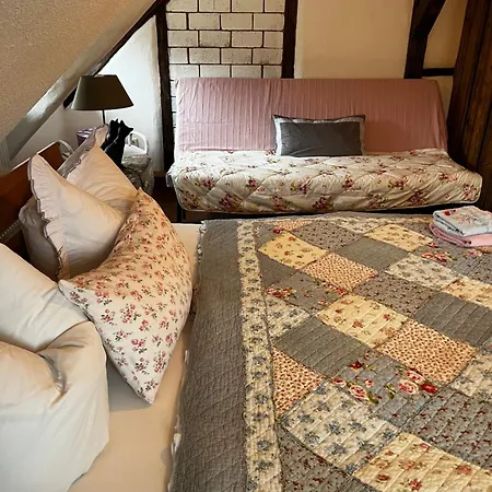 펜션 Schwarzer Kater