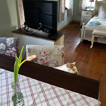 펜션 Schwarzer Kater *