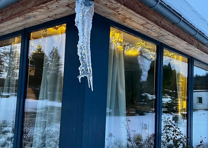 Schwarzer Kater Grossschoenau