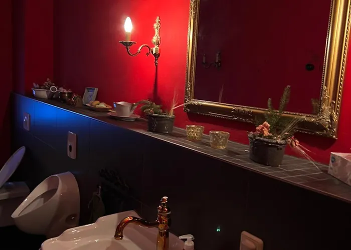 Schwarzer Kater Grossschoenau