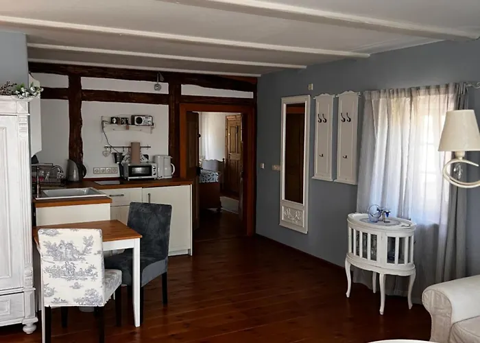 Schwarzer Kater Grossschoenau