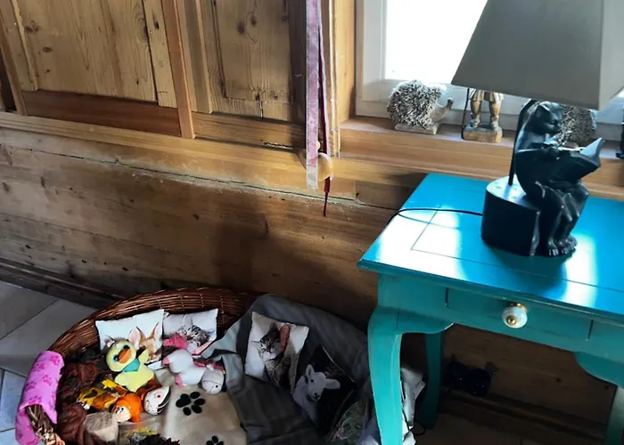 Schwarzer Kater Grossschoenau