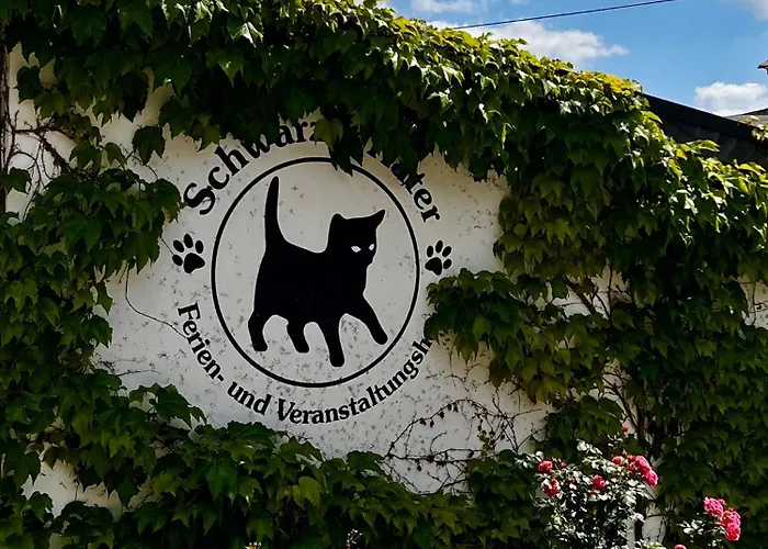 Schwarzer Kater * Grossschoenau