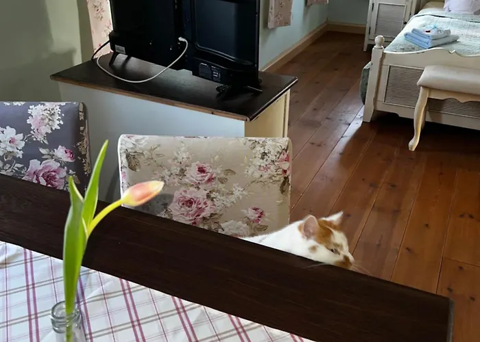 Holiday home Schwarzer Kater *