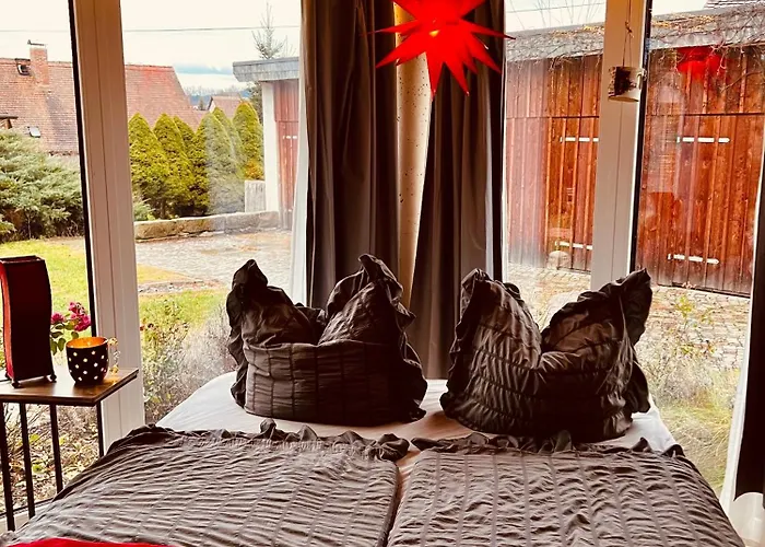 Schwarzer Kater Grossschoenau