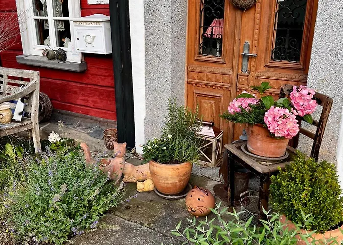 Schwarzer Kater Holiday home