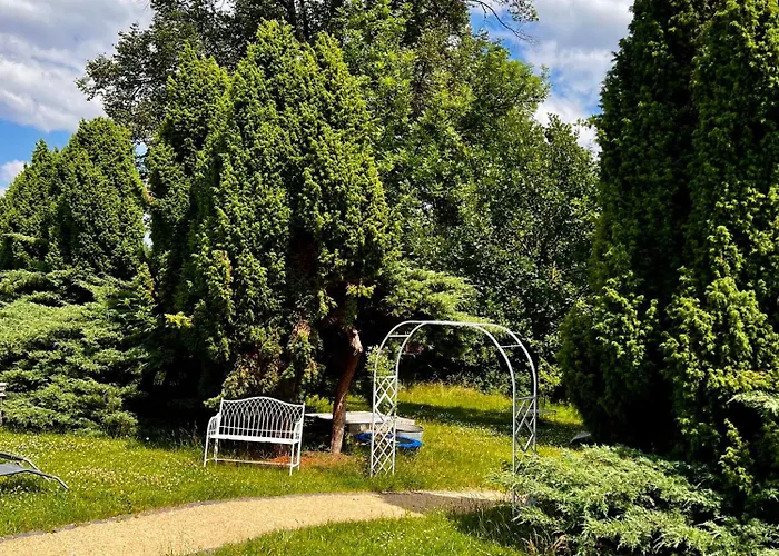 Schwarzer Kater * Grossschoenau