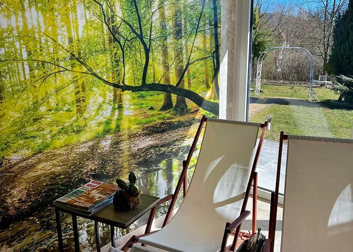 Schwarzer Kater * Grossschoenau