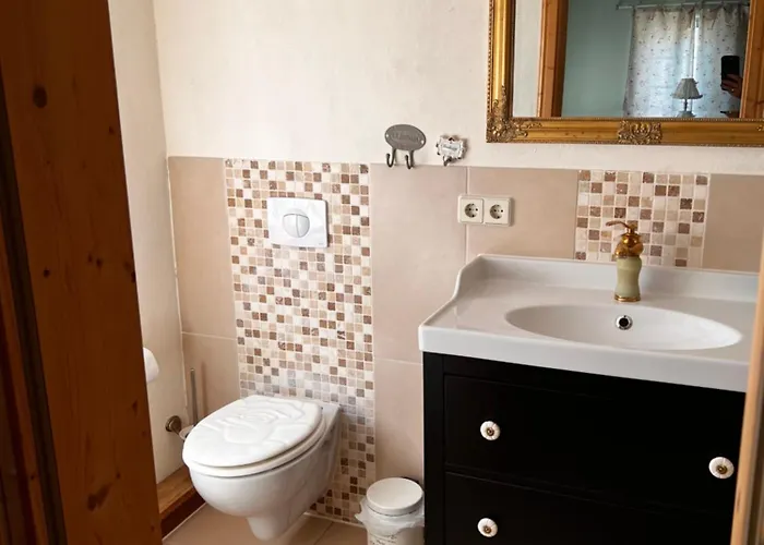 Schwarzer Kater Grossschoenau